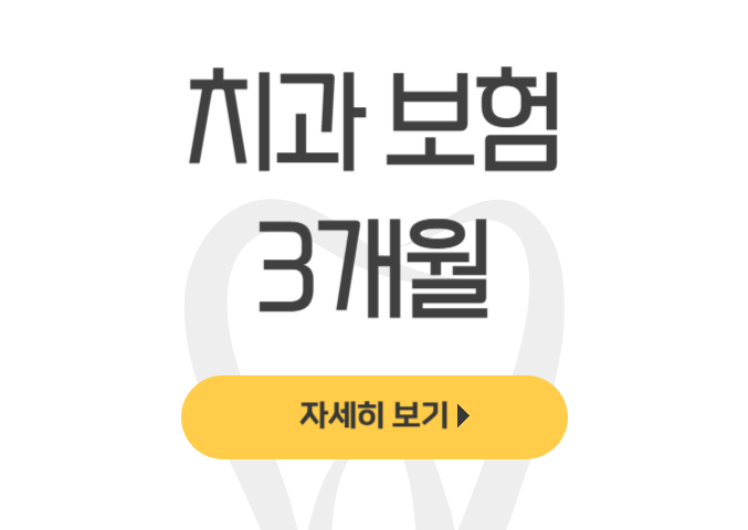 치과 보험 3개월