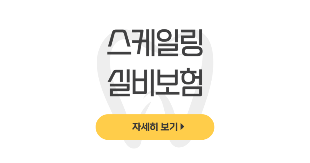 스케일링 실비보험