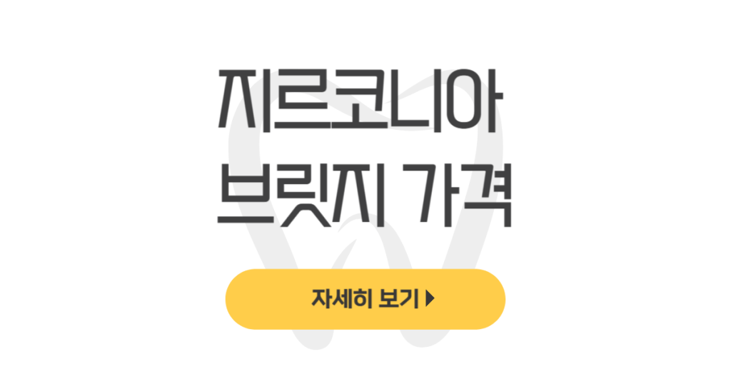 지르코니아 브릿지 가격