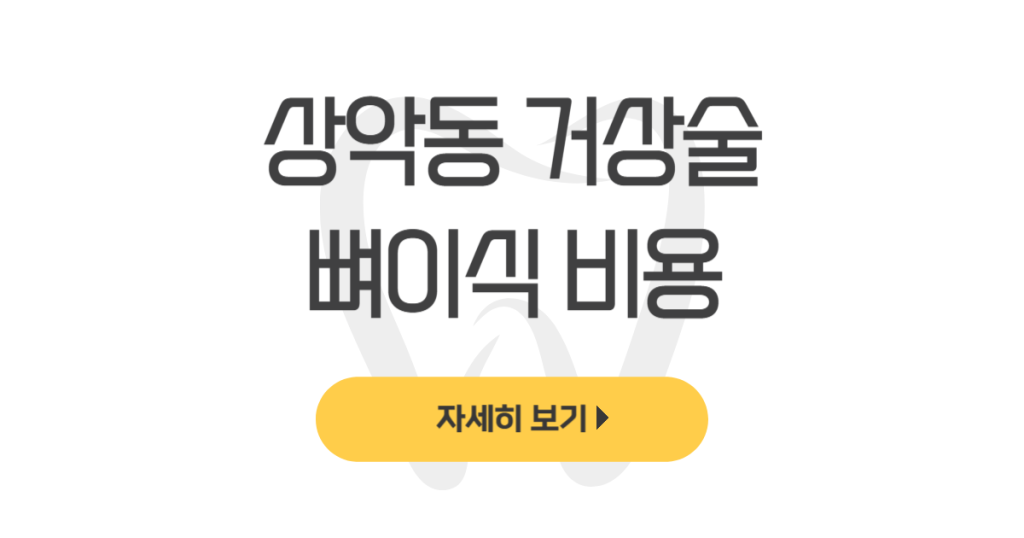 상악동 거상술 뼈이식 비용